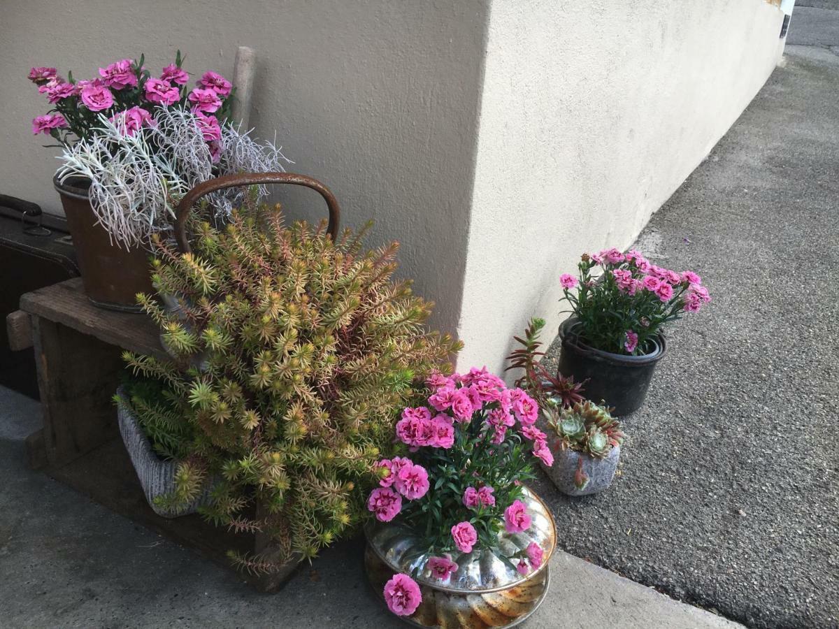 Buckten ペンション ヒェッセルベルク Bed & Breakfast エクステリア 写真